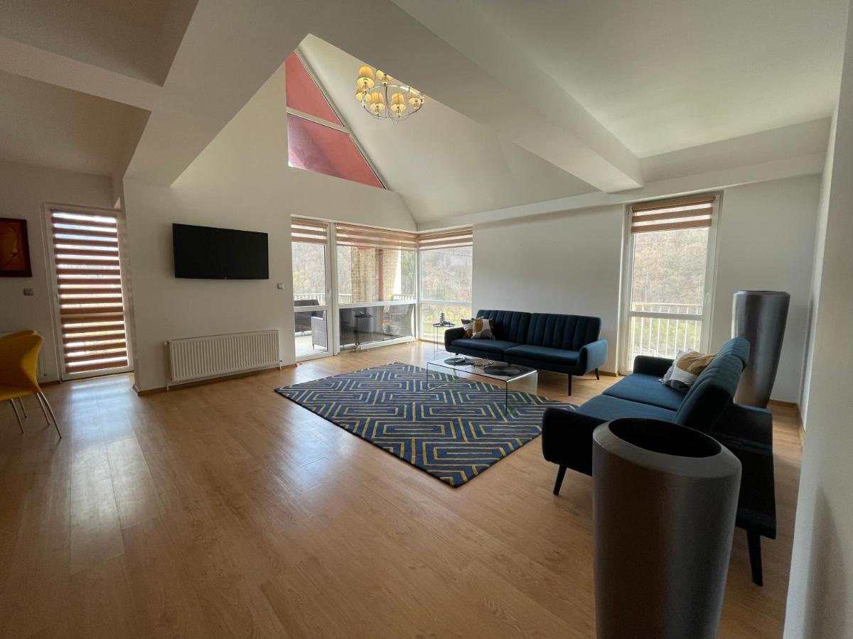 Kyra Luxury Penthouse Διαμέρισμα Σινάια Εξωτερικό φωτογραφία