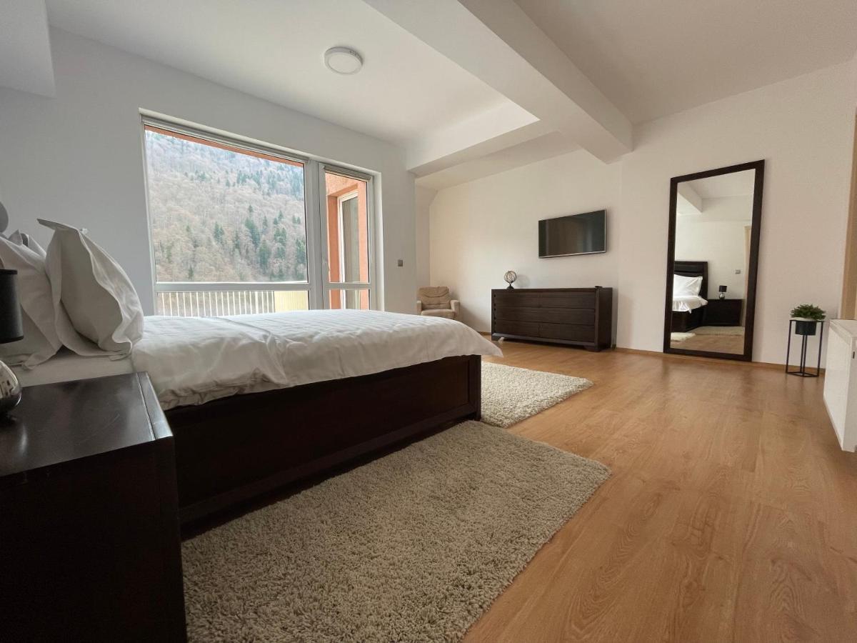Kyra Luxury Penthouse Διαμέρισμα Σινάια Εξωτερικό φωτογραφία