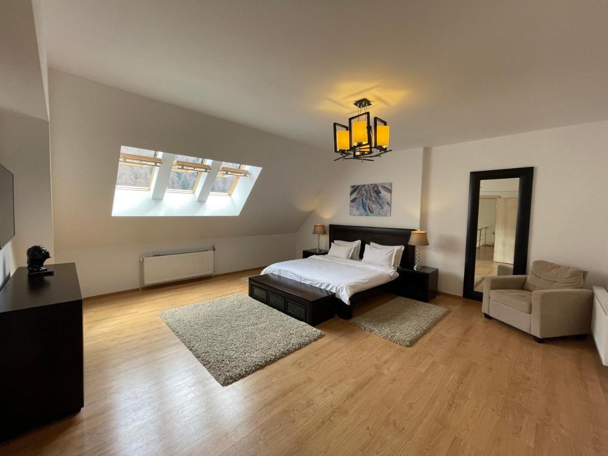 Kyra Luxury Penthouse Διαμέρισμα Σινάια Εξωτερικό φωτογραφία