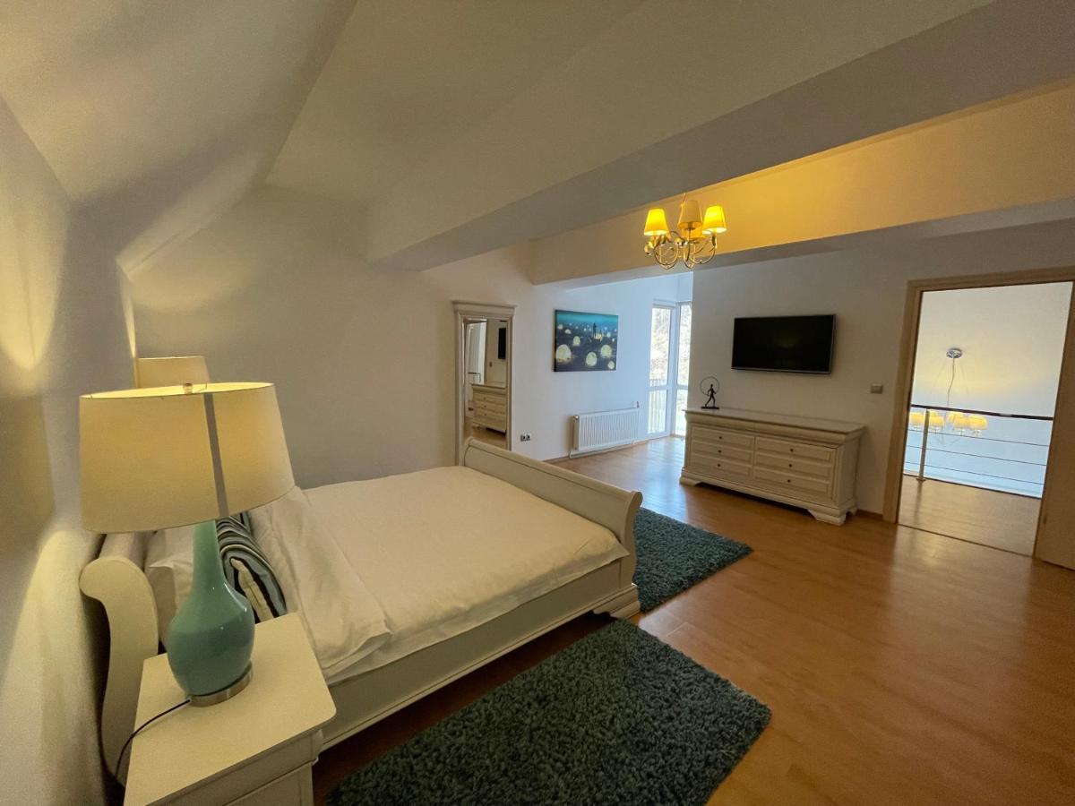 Kyra Luxury Penthouse Διαμέρισμα Σινάια Εξωτερικό φωτογραφία